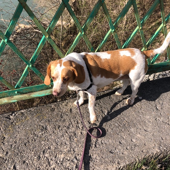 Meet your Posher, Alexandra - Picture 1 of 1